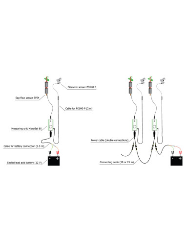EMS64 DL EMS Brno sap flow system