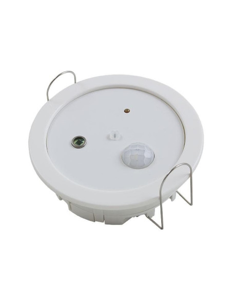 AO-BHT-D/A Motion/Brightness and Temperature Probe for Ceiling Mounting