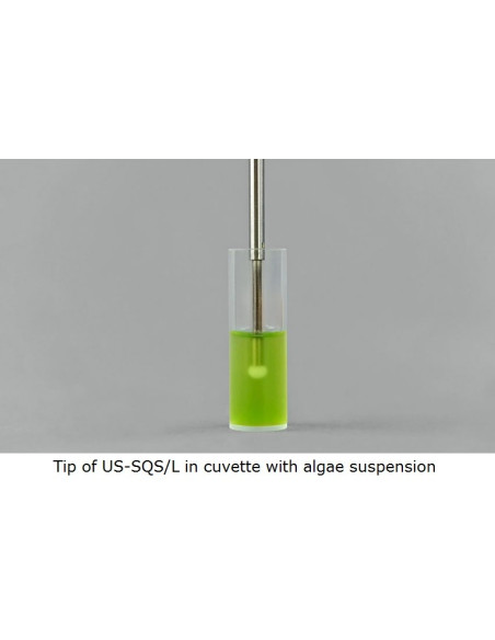 US-SQS/L Submersible Spherical Micro Quantum PAR Light Sensor from WALZ