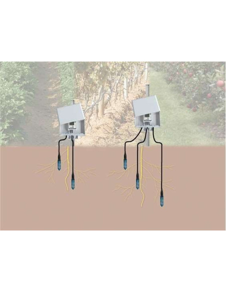 SM-100 WaterScout Soil Moisture Sensor