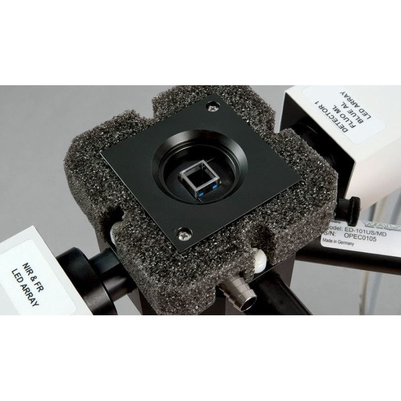 Sistema de Fluorescencia de Clorofila & P700