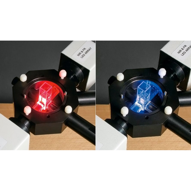 Sistema de Fluorescencia de Clorofila & P700