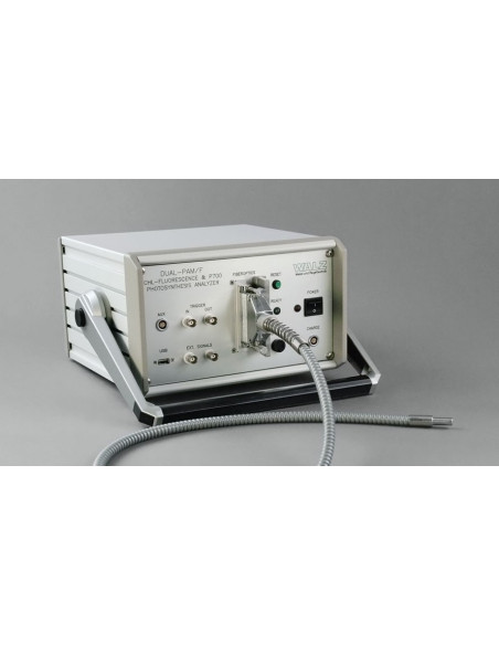 Sistema de Fluorescencia de Clorofila & P700