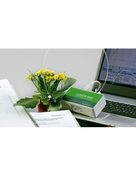 Compact Fluorometer WALZ