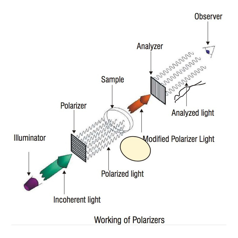 Nvis 660 Set de Polarizadores
