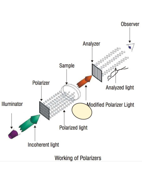 Nvis 660 Set de Polarizadores