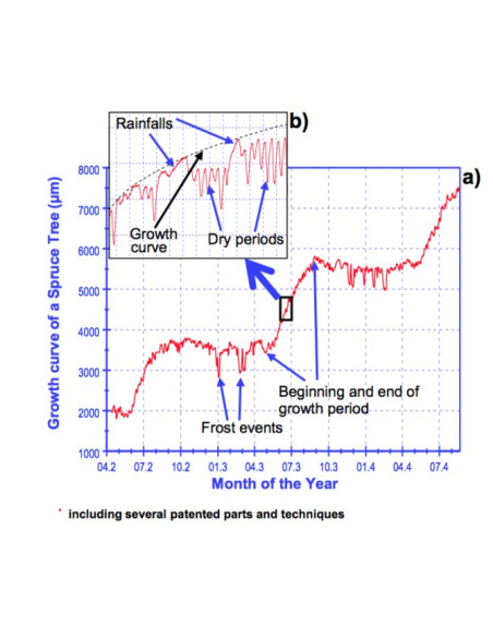 DRW Radius Dendrometer Rugged