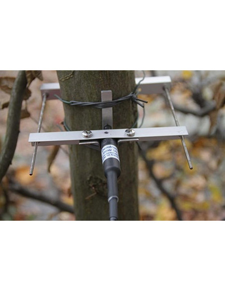 DDW Dendrómetro Diametro Rugoso