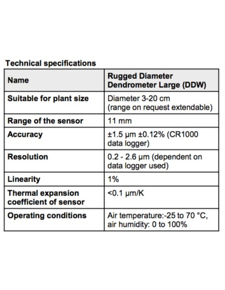 DDW Diâmetro Rugoso do Diâmetro