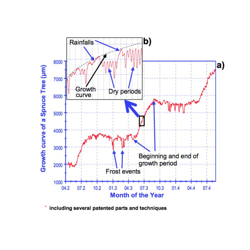 DR Dendrômetro Radial