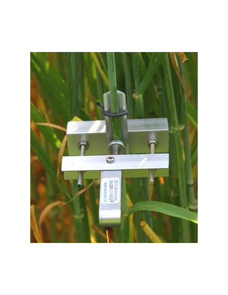 DD-S Dendrómetro Diámetro Pequeño