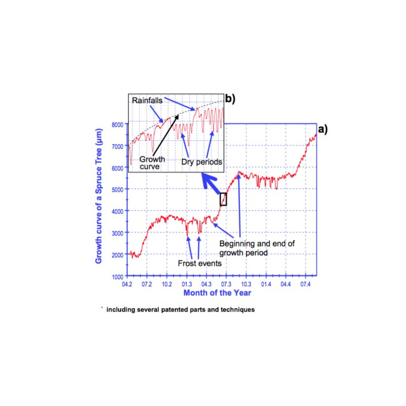DC2 Circumference Dendrometer 2