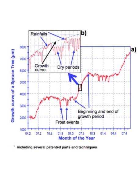DVer Dendrómetro para crecimiento Vertical (Diámetro +8 cm)