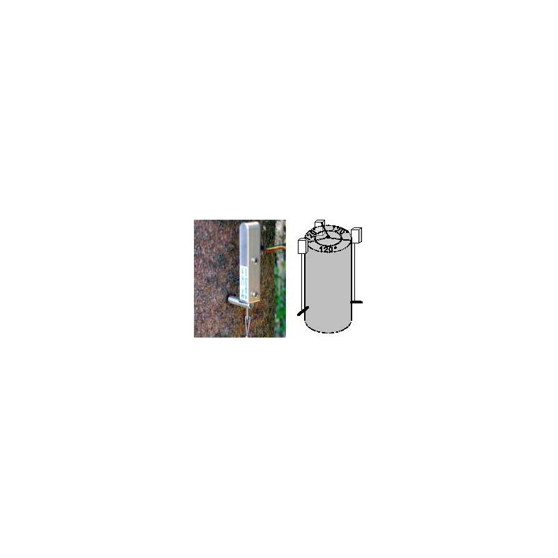 DVer Dendrómetro para crecimiento Vertical (Diámetro +8 cm)