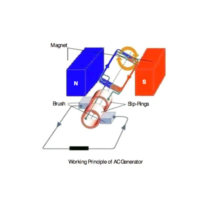 Working Principle of AC Generator