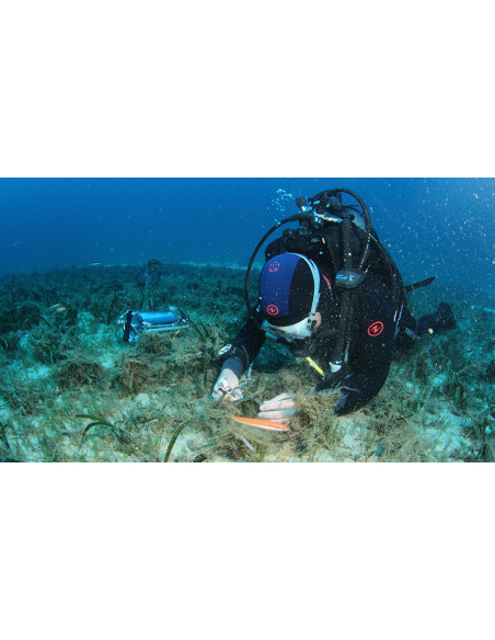 DIVING-PAM-II Buceo científico para estudiar la fotosíntesis acuática