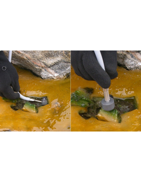 DIVING-PAM-II Fotossíntese examinada em fontes termais da Groenlândia