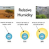 Relative Humidity