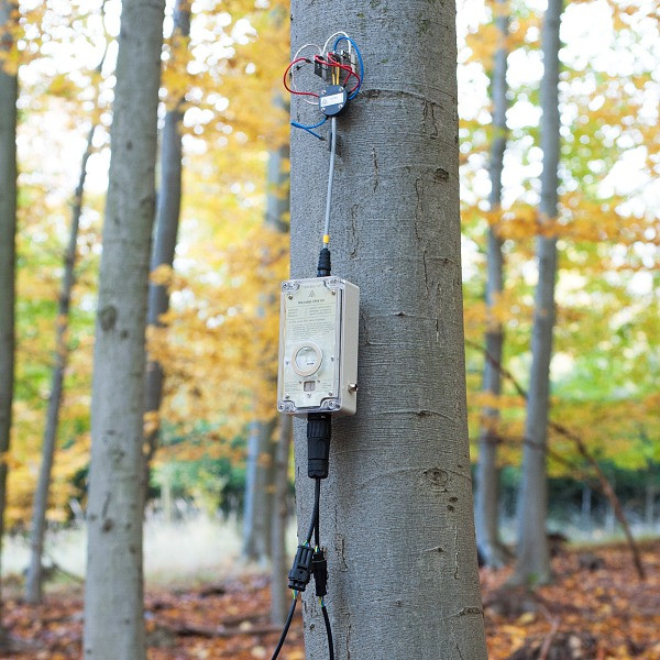 EMS81 sap flow system EMS Brno