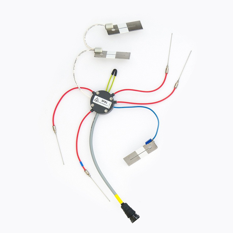 EMS81 sap flow system EMS Brno