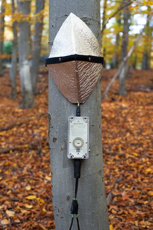 EMS81 sap flow system EMS Brno