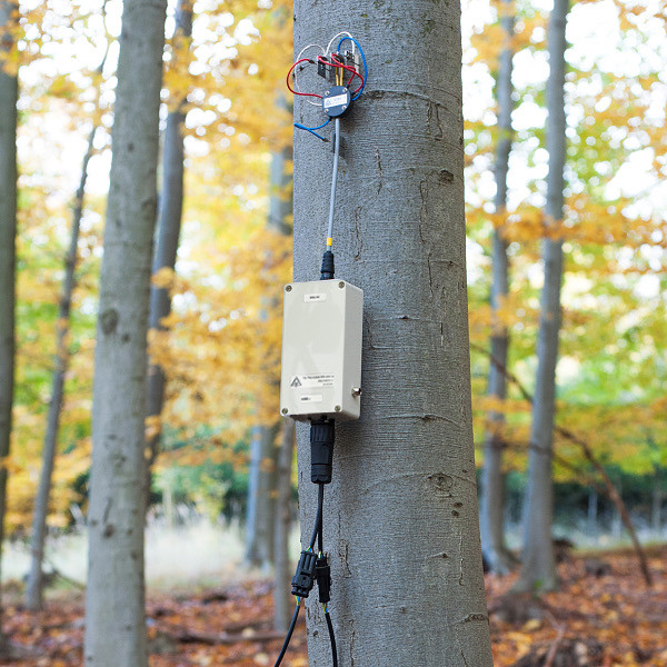 EMS81 SDI-12 sap flow system EMS Brno