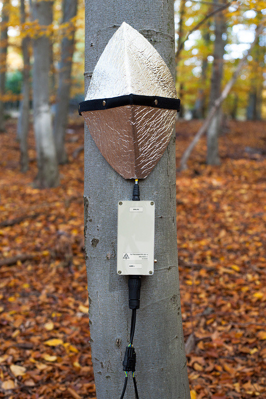 EMS81 SDI-12 sap flow system EMS Brno