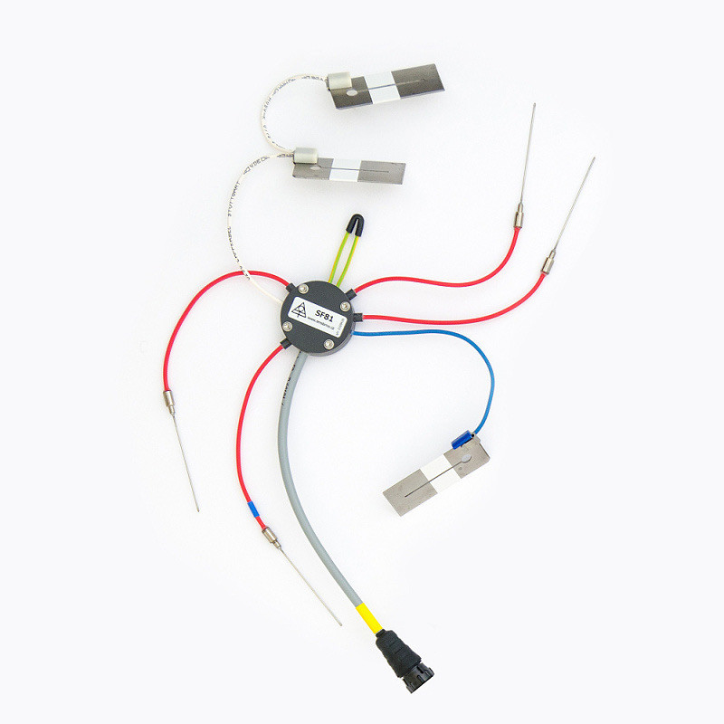 EMS81 SDI-12 sap flow system EMS Brno