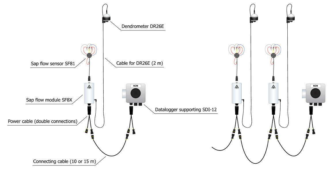 EMS81 SDI-12 sap flow system EMS Brno