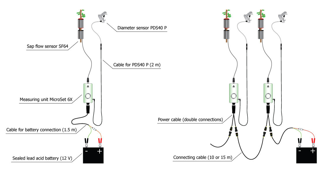 EMS64 sap flow system EMS Brno